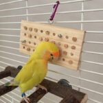 Parrot Toys Training Decompression Hanging Solid Wood Keyboard Toy - Image 5